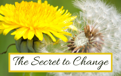 The Secret to Change